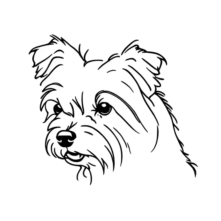 Affenpinscher