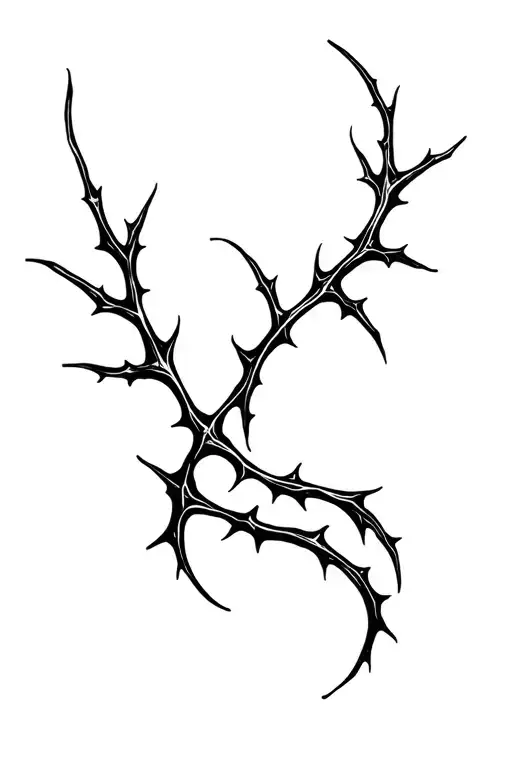 Thorns Wrapping