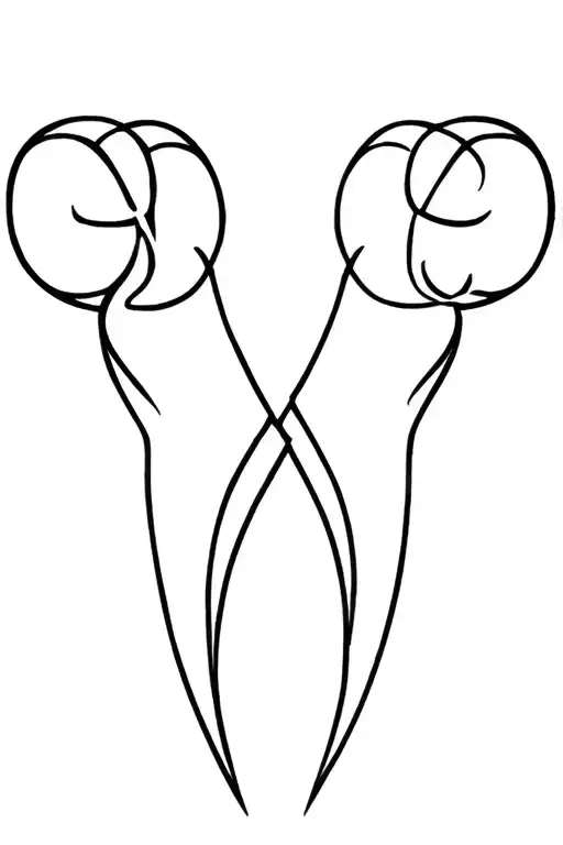 Virgo And Aries Signs Combined Together