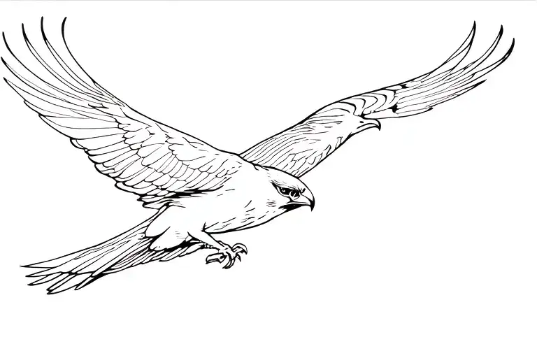 Peregrine Falcon Flying