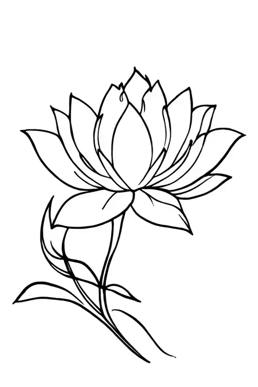Lotus Flower