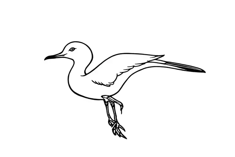 Albatross
