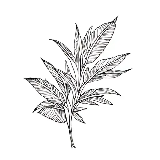 Tropical Plants