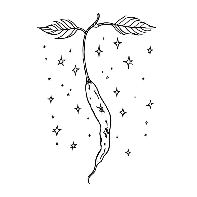 Chiili Pepper And Sky Filled With Stars Forming