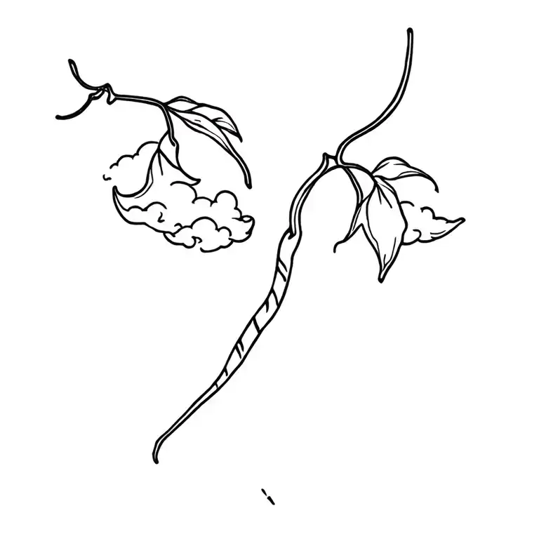 Chiili Pepper And Sky