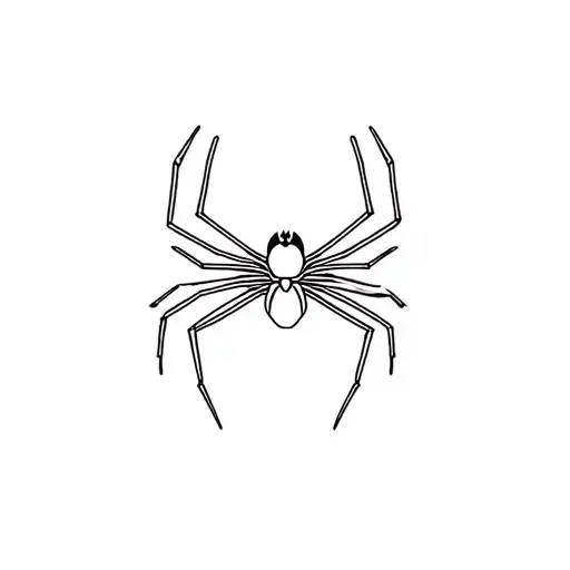 Spider Geometric Line Art