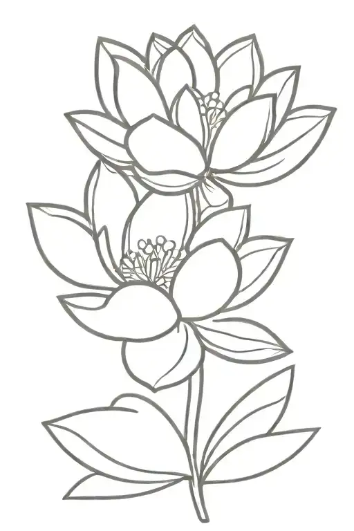 Minimalist Lotus Flower