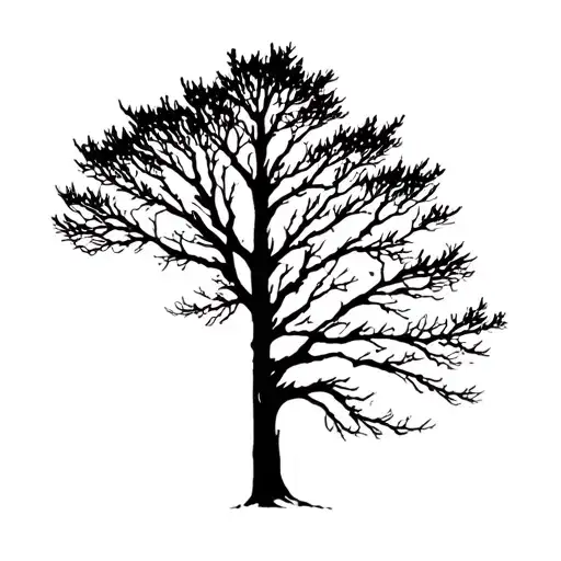 Tree Silhouette Winter