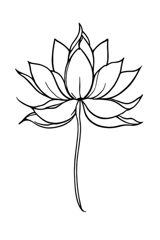 Lotus