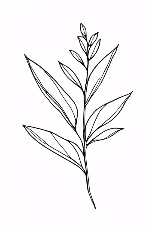 Neda Plant