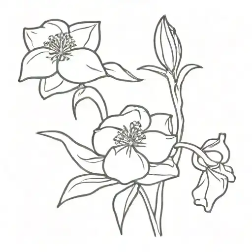 Narcissus Flower And Carnation Flower