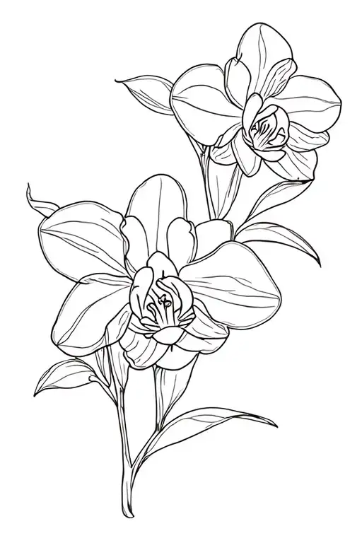 Orchids