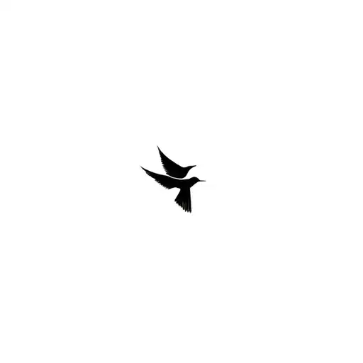 Swallow Birds Flying