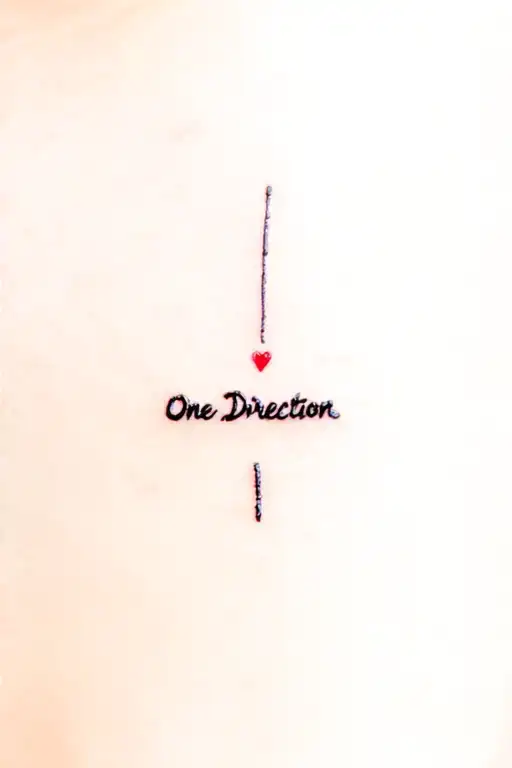 One Direction Tribute