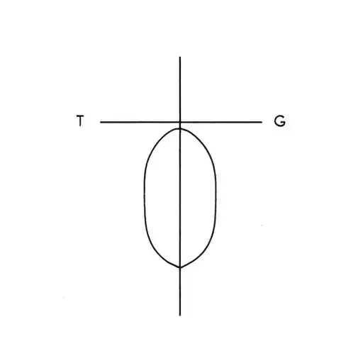 A T G C
