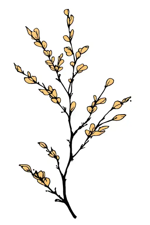 Arctostaphylos Manzanita