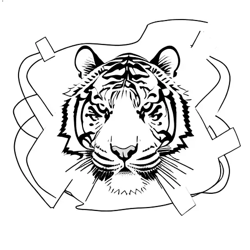 Tiger In A Boxing Ring