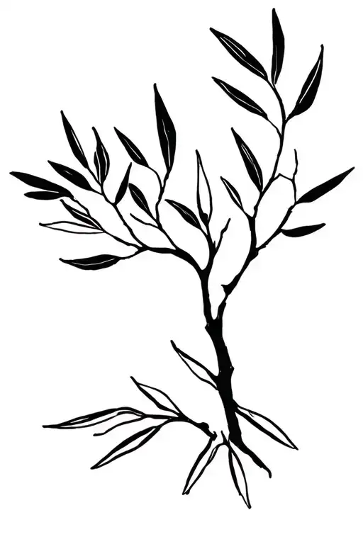 Olive Tree