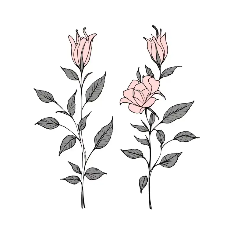 Lily And Rose Names Incorporated Symbolizing