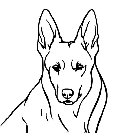 Carolina Dog Face Outline