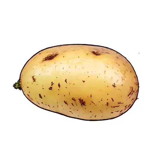Potato With A Faisy Growing Out Of It