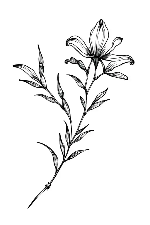 Branch Of Lys Flower