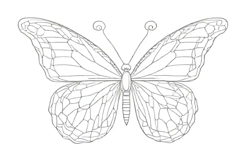 Butterfly