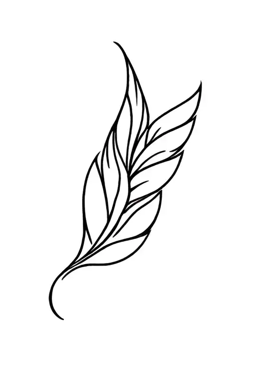 Winged Seed