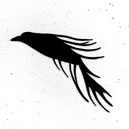 Crow Fly