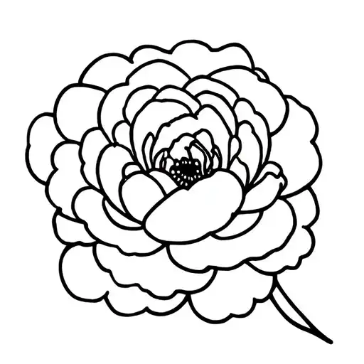 Camellia