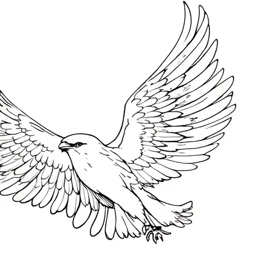 Falcon Spreading Wings
