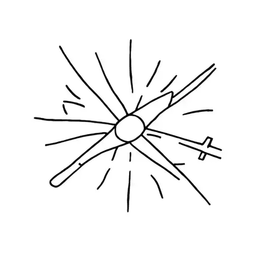 Meer Sun Palm Airplane