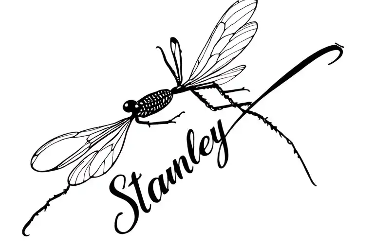 Word Stanley Incorporated With A Dragonfly