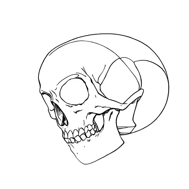 I Want To Add A Big Skull