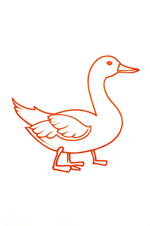 Duck