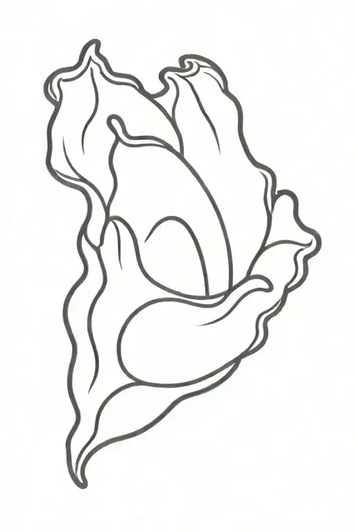 Conch That Resembles A Human Heart