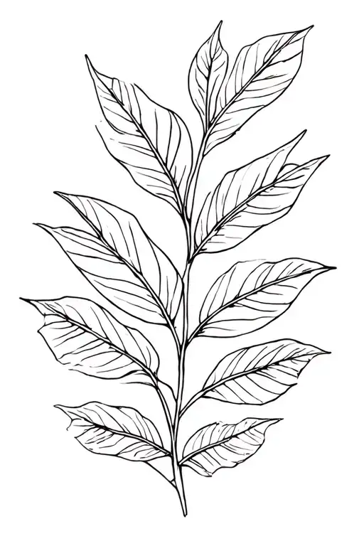 Banana Leaves