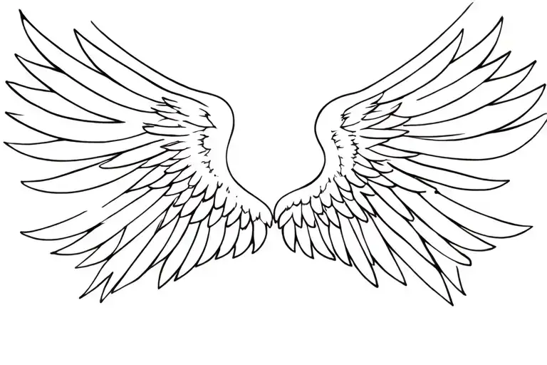 Wings Spread Wings Looking Straight