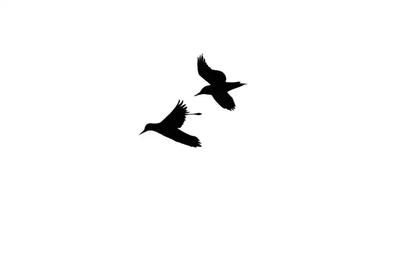 Two Small Birds Flying Away