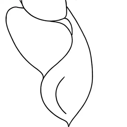 Abortion