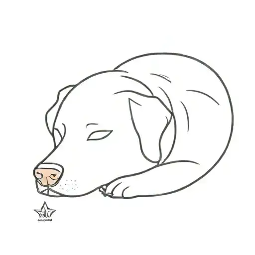 Dog Sleeping