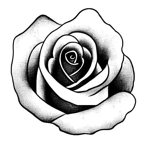 Red Rose With Foliage