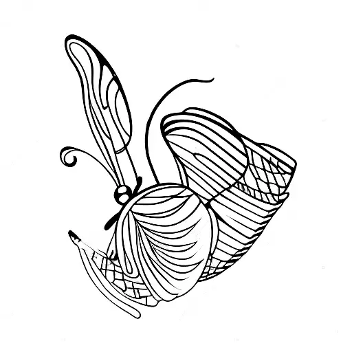 Butterfly Arrow