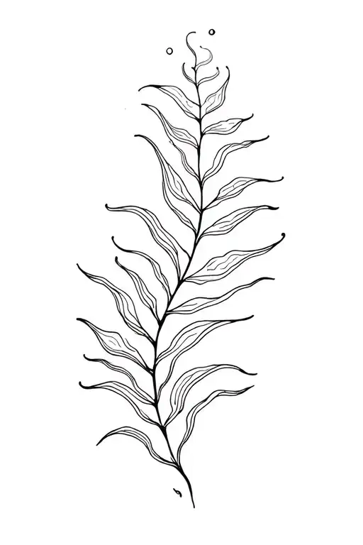 Kelp Underwater
