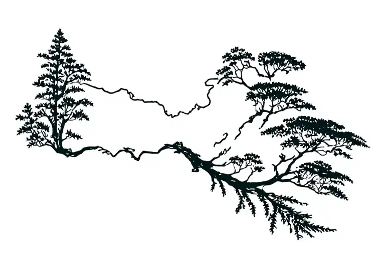 Venezuelan Country Contour With Roots And Nature