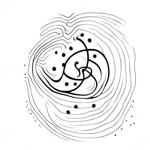 A Dotwork Tattoo Of A Coffee Bean Shaped Like A Scorpio Constellation