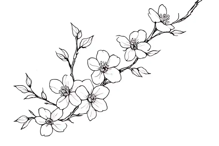 Almond Blossom Flowers