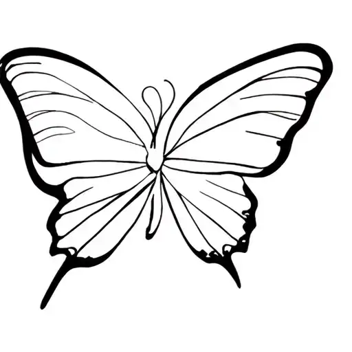 Butterfly's