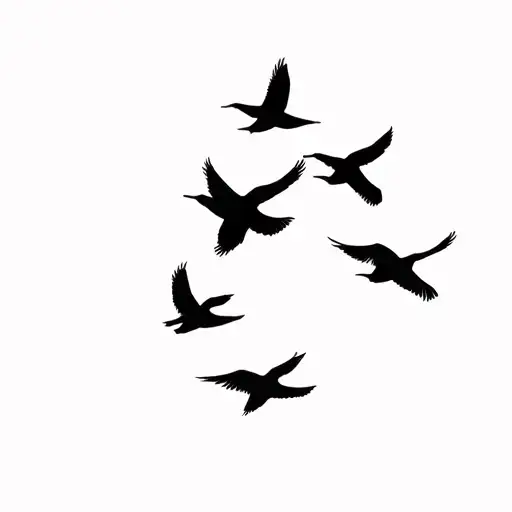 Birds Flying