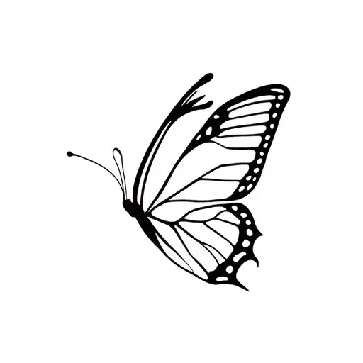 M Butterfly Emerging